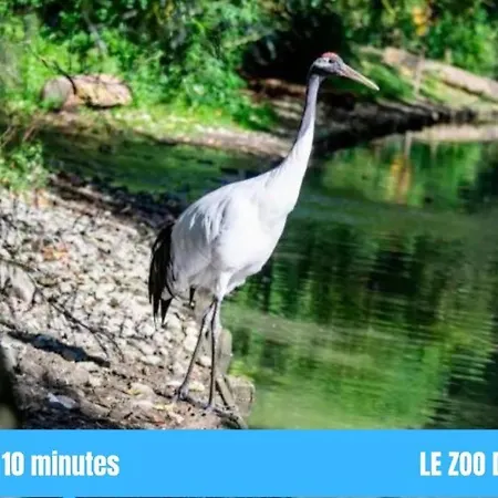 Grand T2 Gare Confort 2pers Wifi